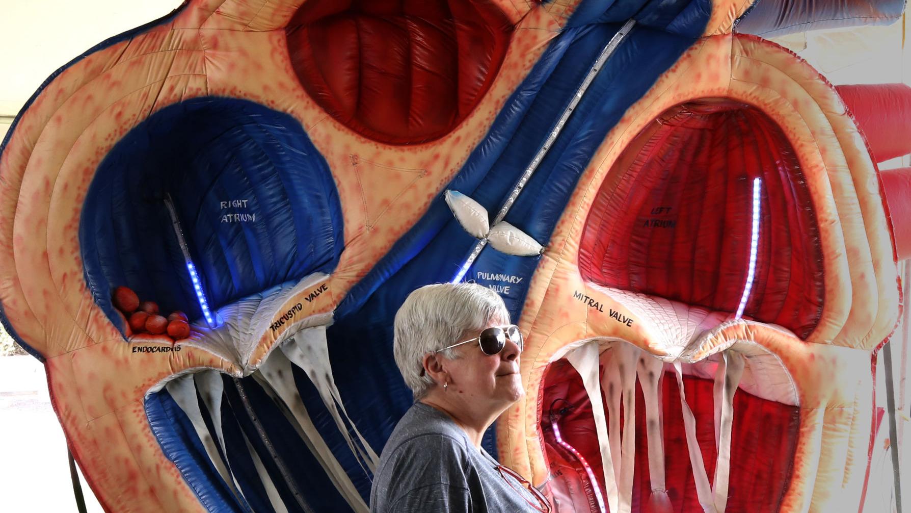 Photos: Day 2 of the 2018 Tucson Festival of Books